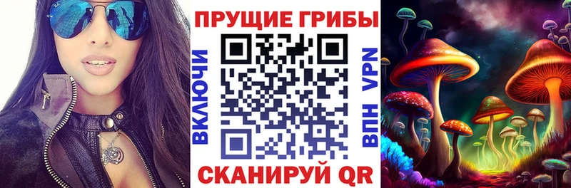 Галлюциногенные грибы Magic Shrooms  блэк спрут онион  Северская 